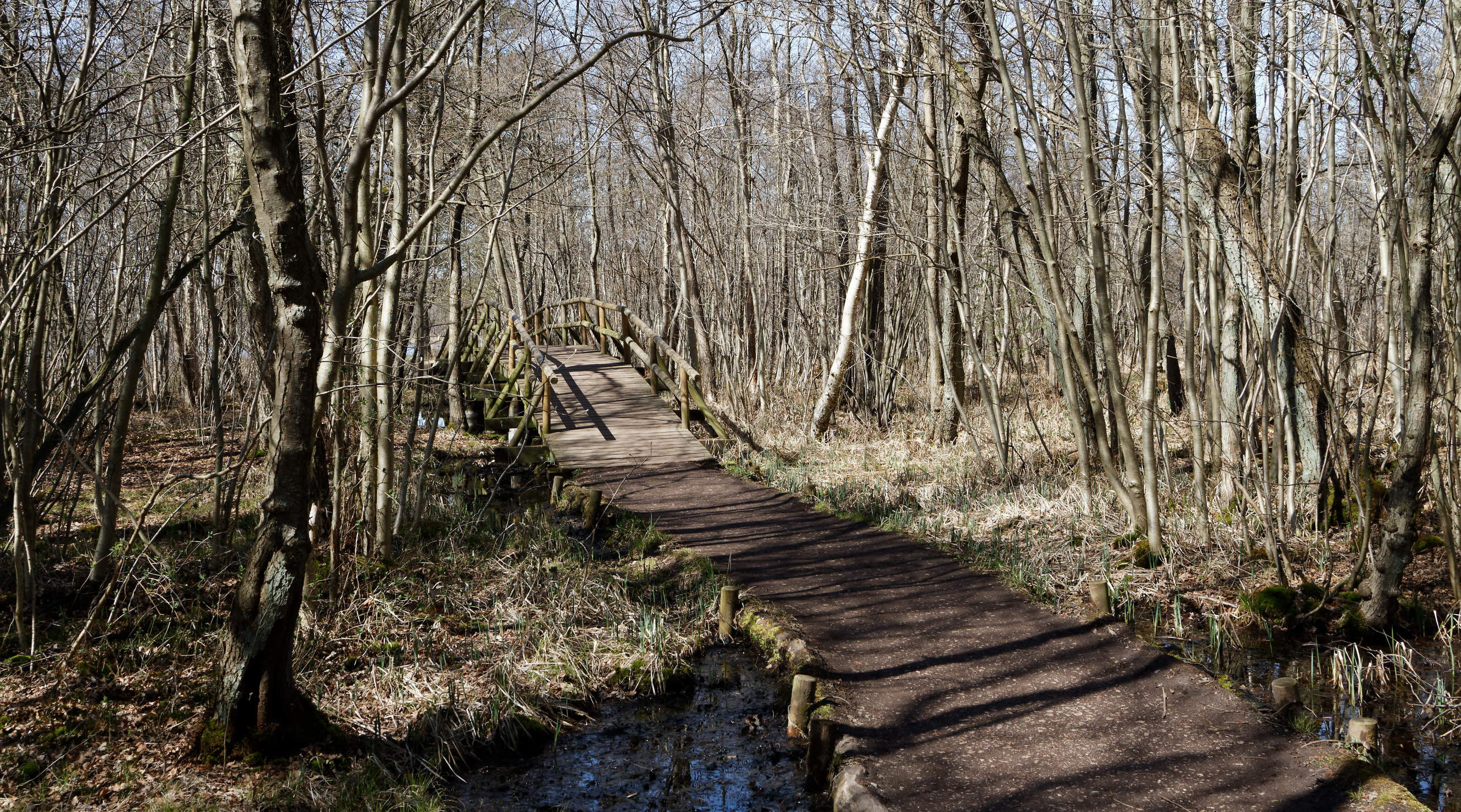 20210420 Lyngby Sø 43